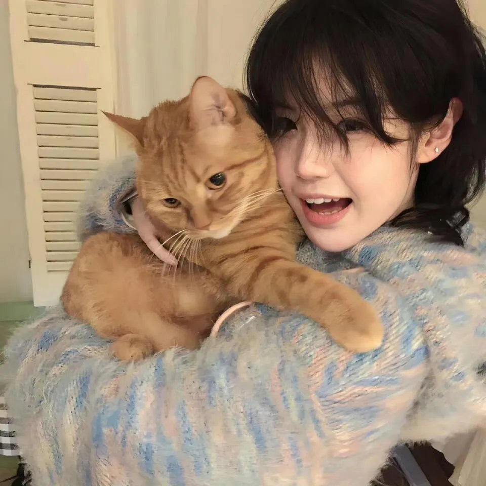 飞鼠洛基冒险记